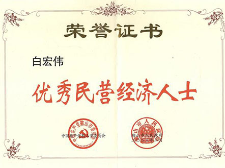 祝賀董事長白宏偉同志被評為優(yōu)秀民營經(jīng)濟人士